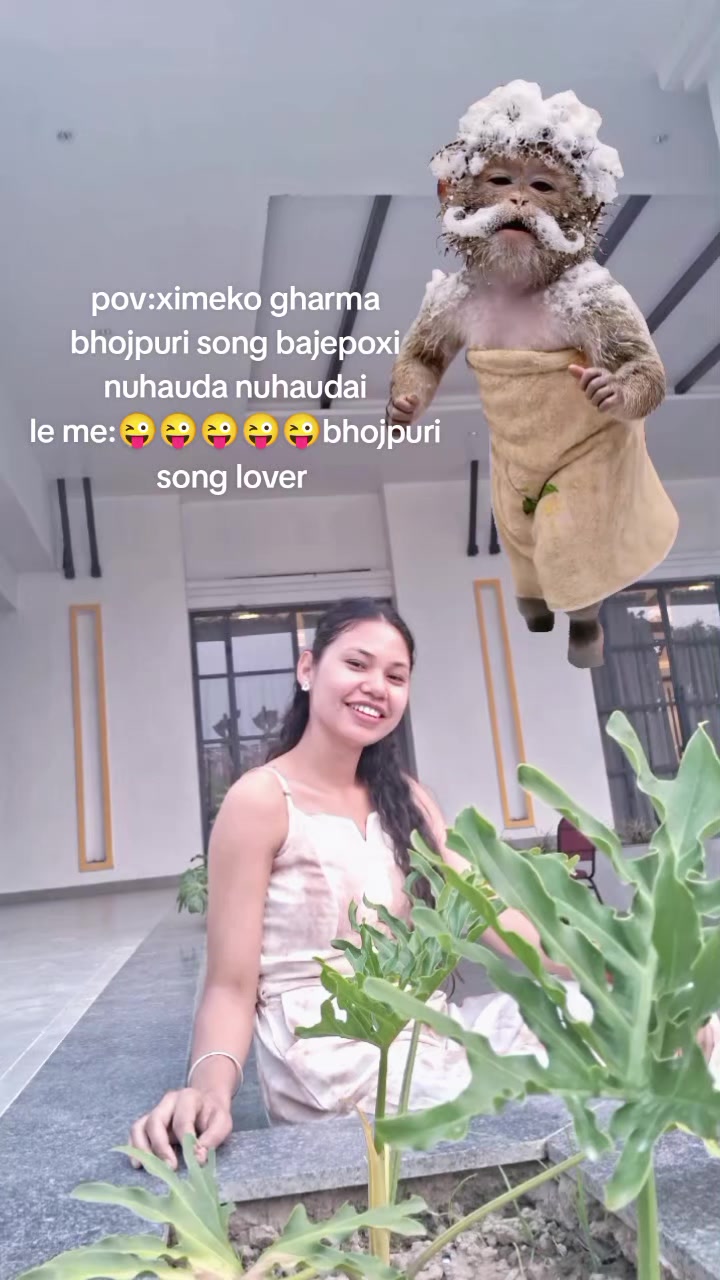 @🕊️
