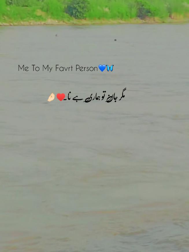 @⚔️عبدالرحمن مغل 🚭 💯