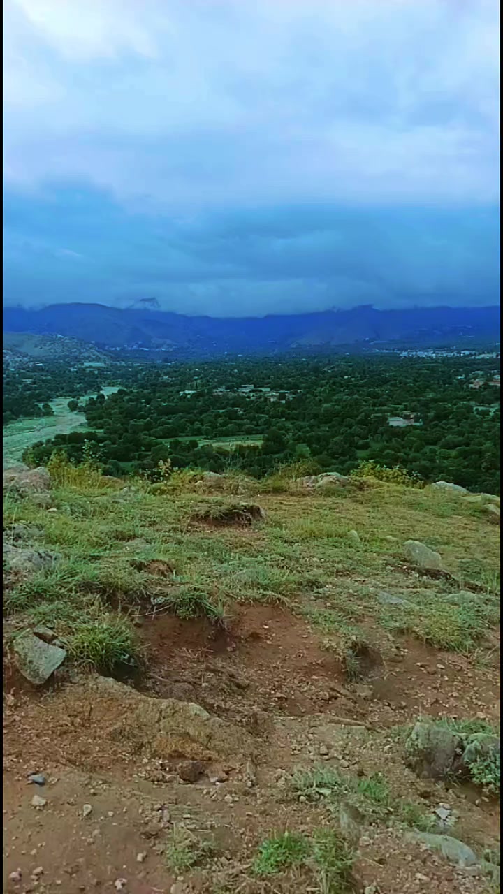@asmat,khan,9798