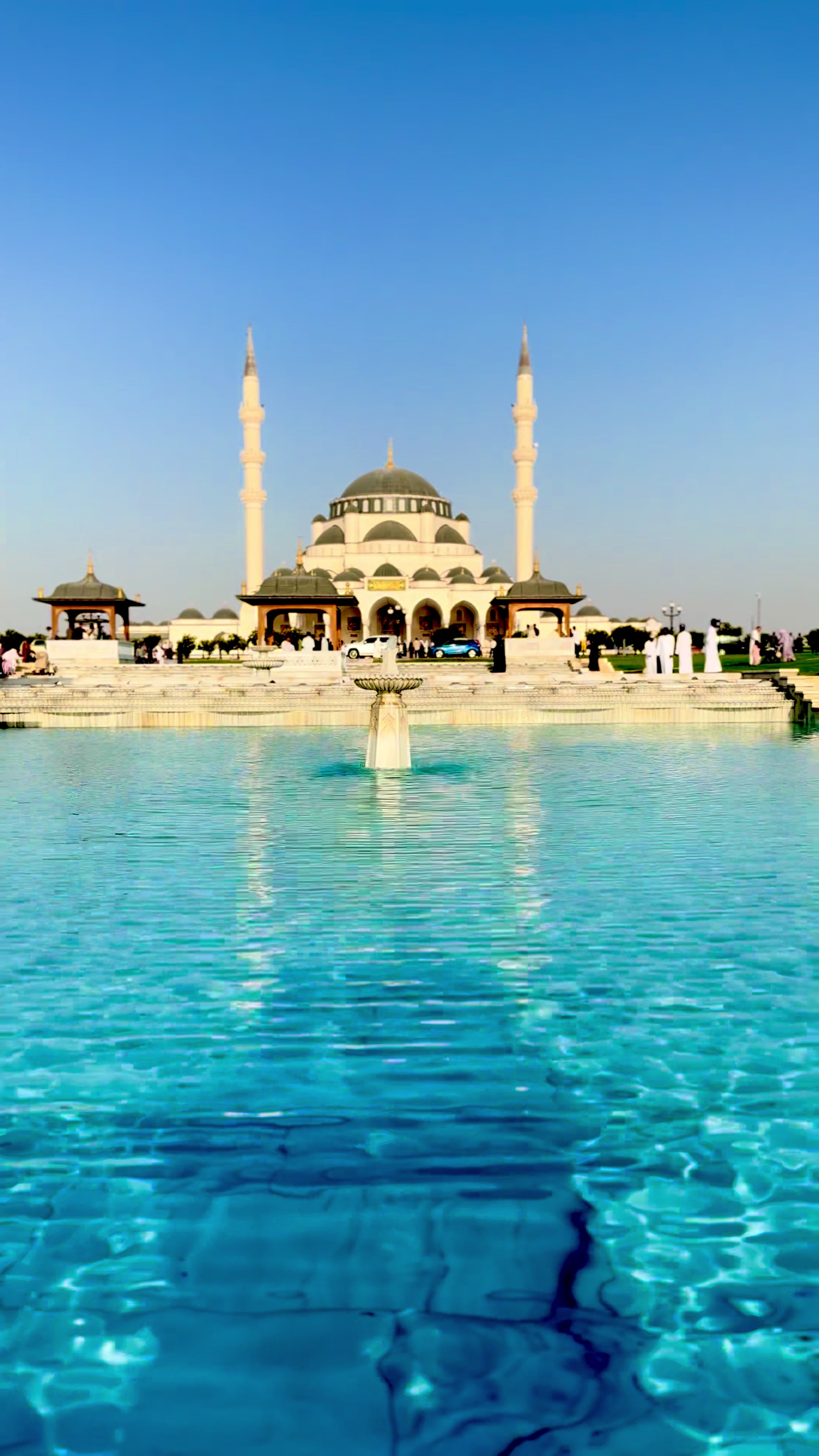 @thehammadgillani