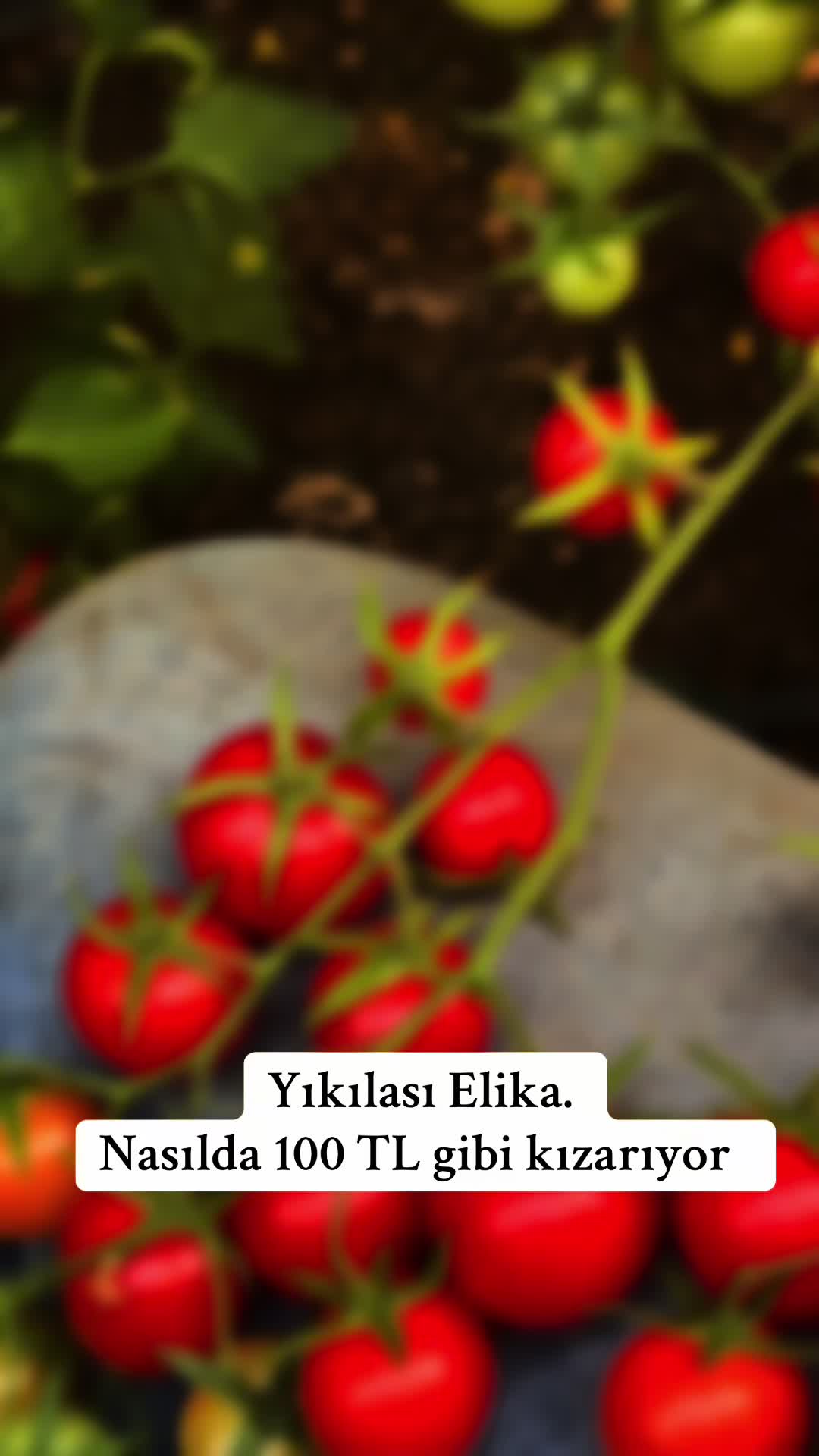 @EmirhanZhmkrn