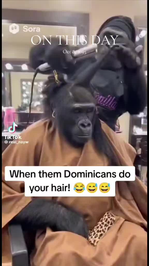 @ladybugg$$