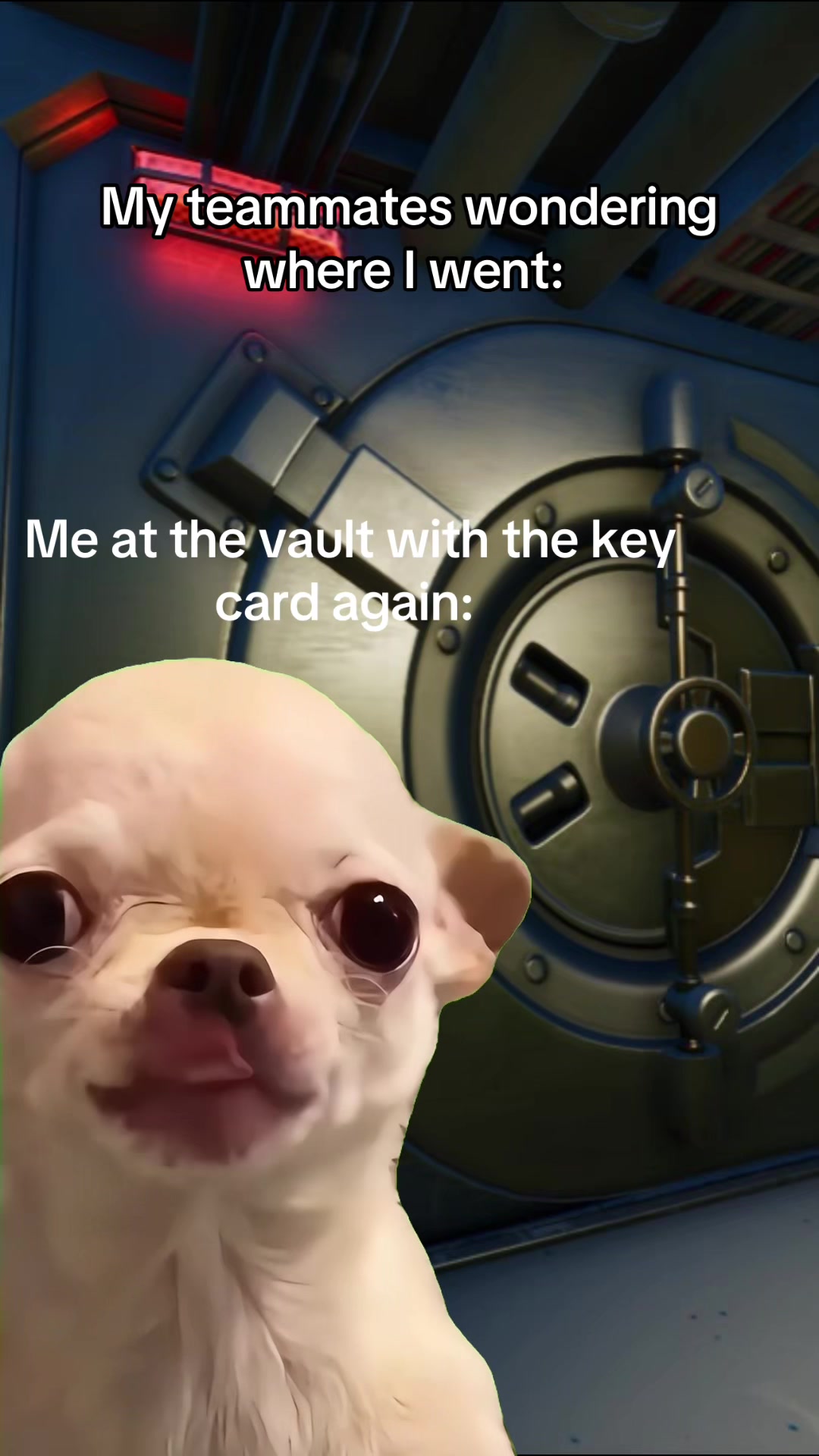 @mchel