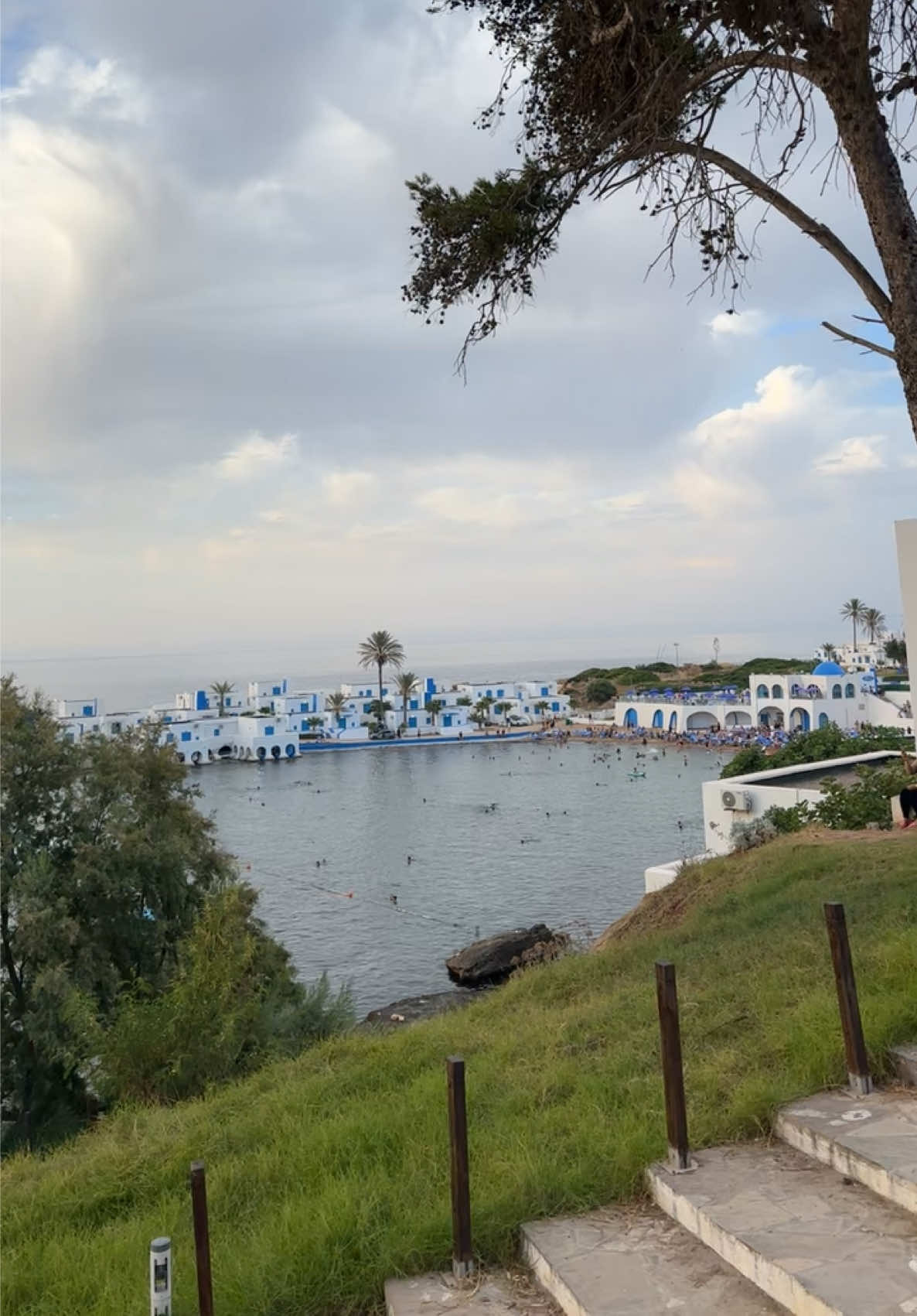 @Dj&agrave;mel Fett&agrave;h