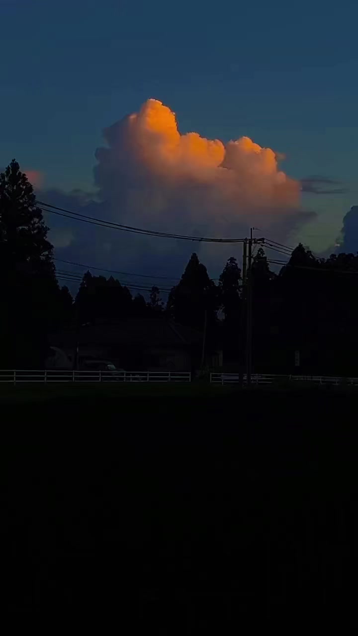 @︎︎夏空