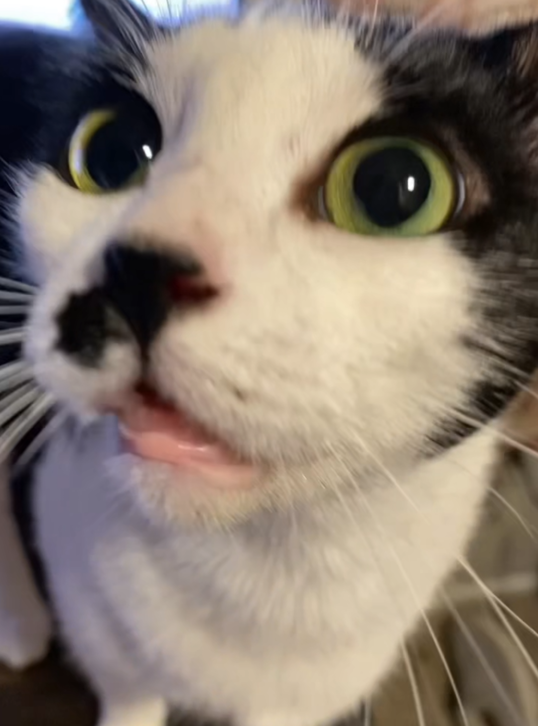 @๐๐