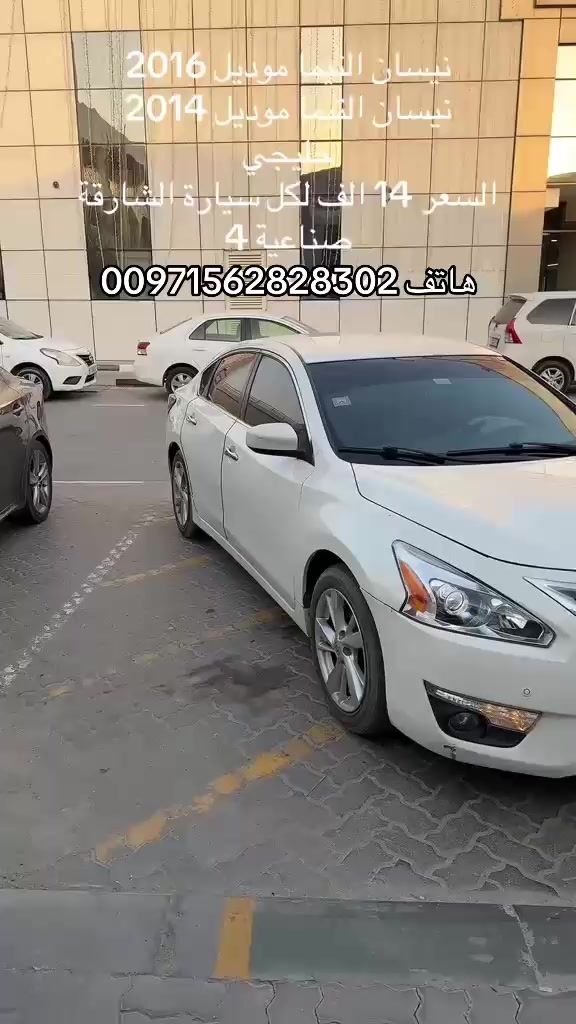@العربة الذهبية للسيارات