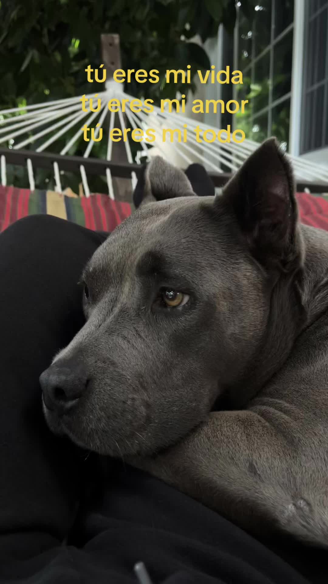 @𝓰 𝓻 𝓪 𝓬 𝓮 ♡