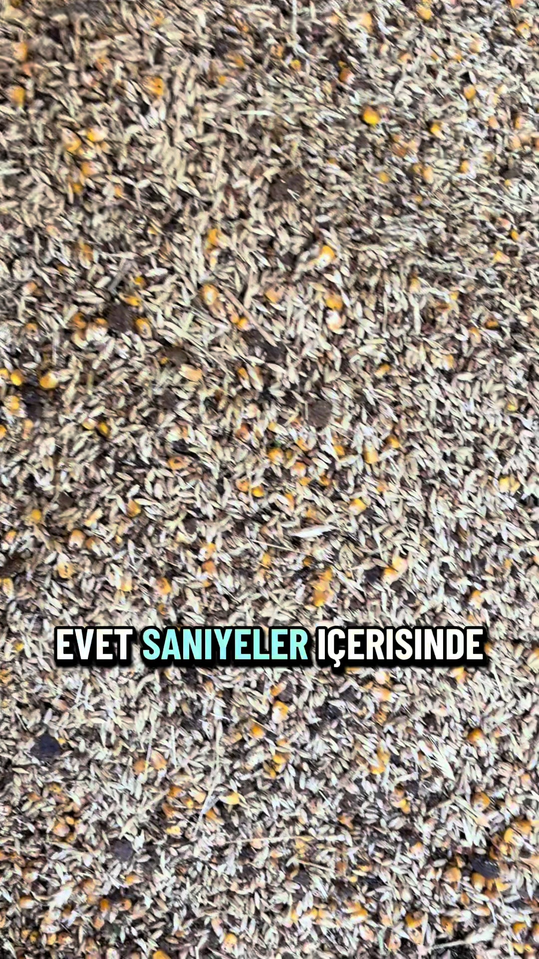 @M.S Pelet Yem Makinaları