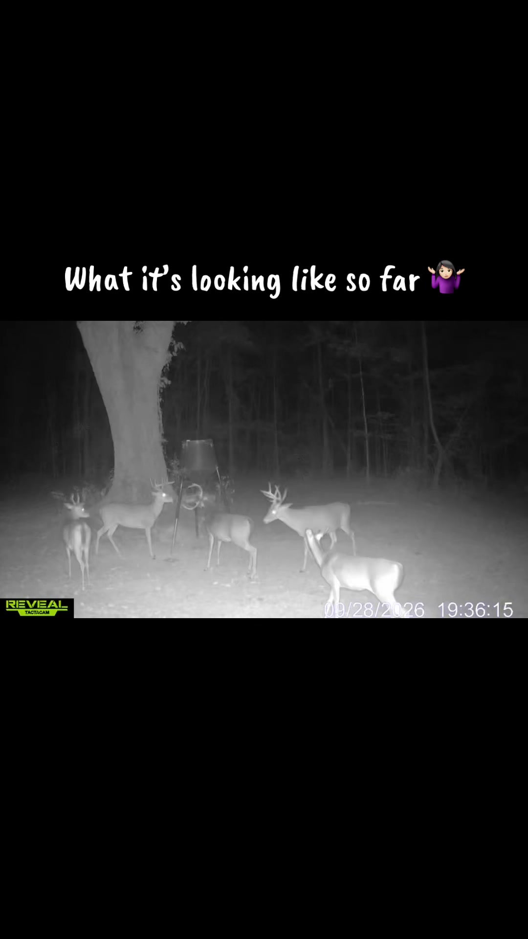 @Toi Batton_GIGI_WTBuckOutdoors