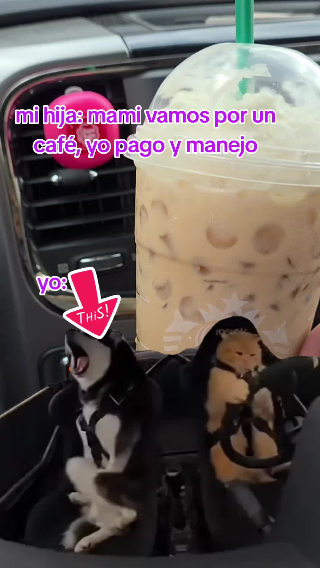 @GraciFuentes
