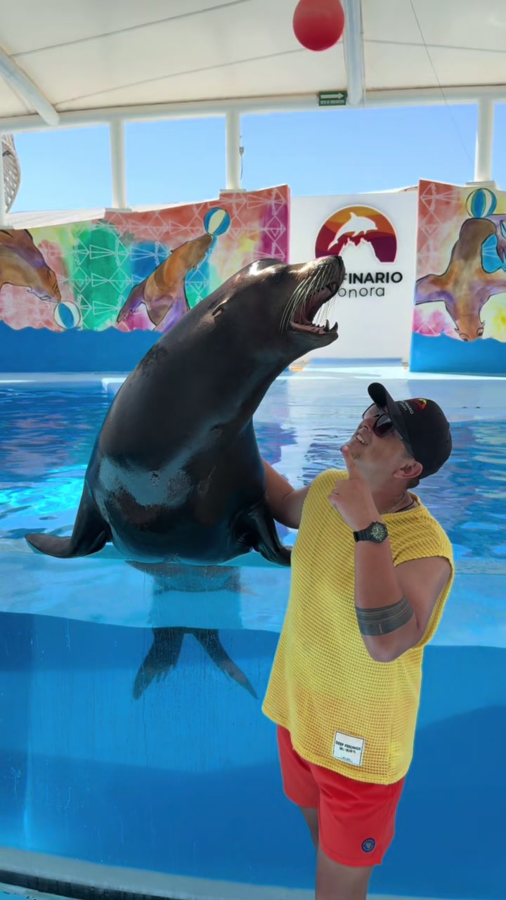 @Juan Anaya Trainer 🐬🦭