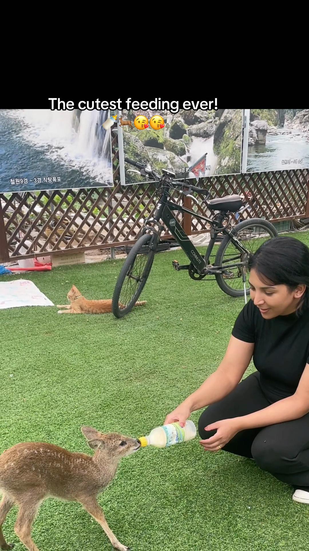 @sushilaghartithapa🇳🇵🇰🇷❤️