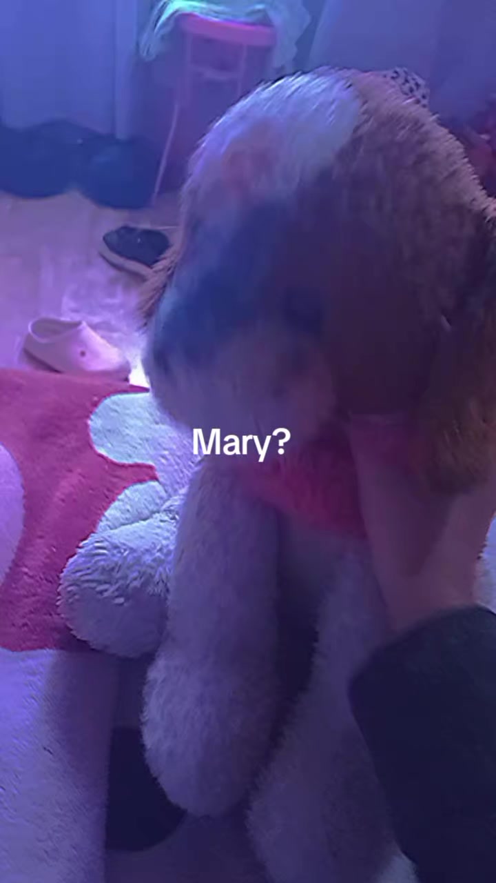 @˚ ༘♡ ⋆。˚mary˚ ༘ ೀ⋆。˚