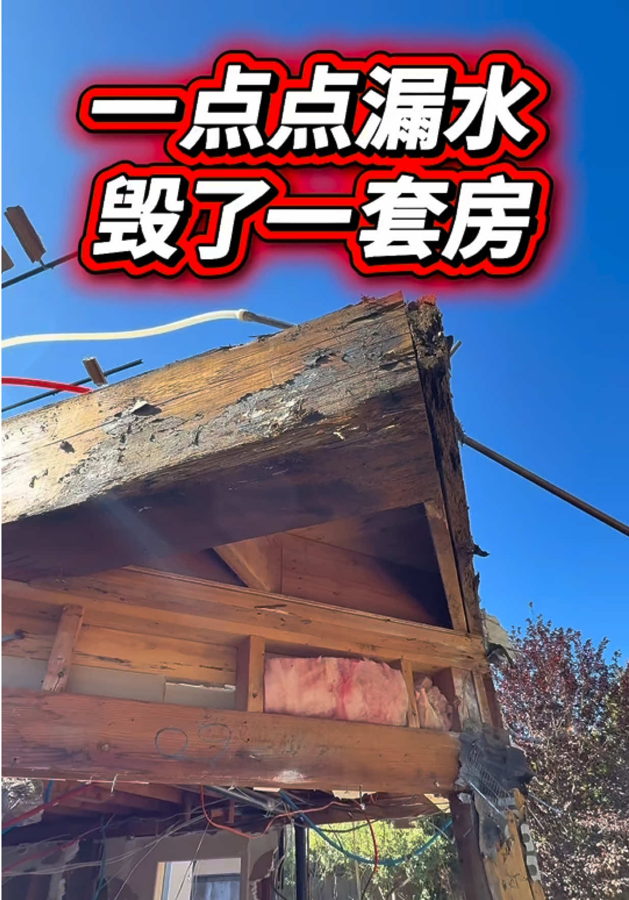 @小馬哥加州ADU新建加建