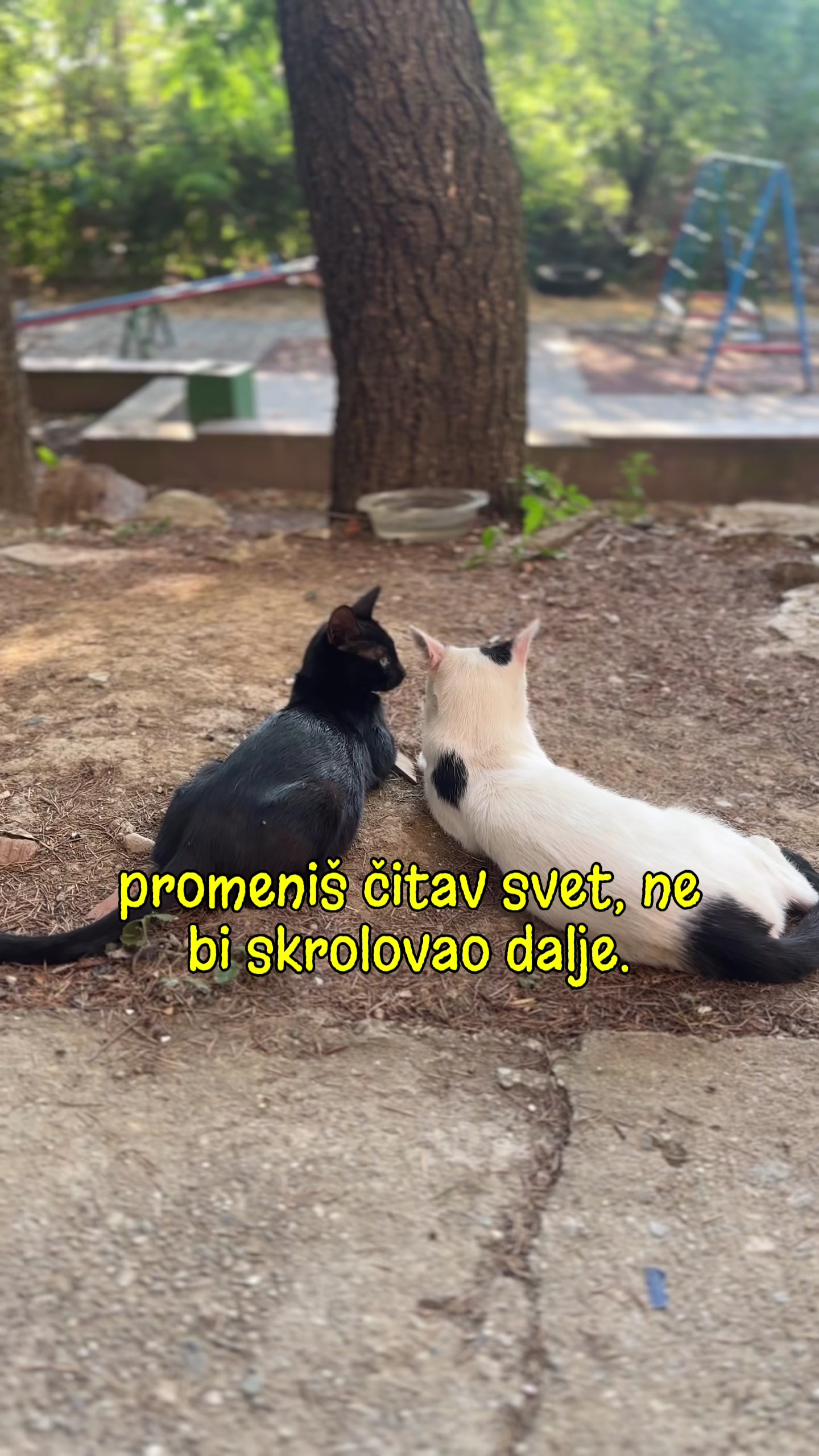 @cosanostrapurr