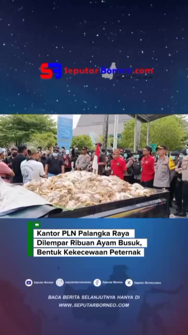 @seputar borneo