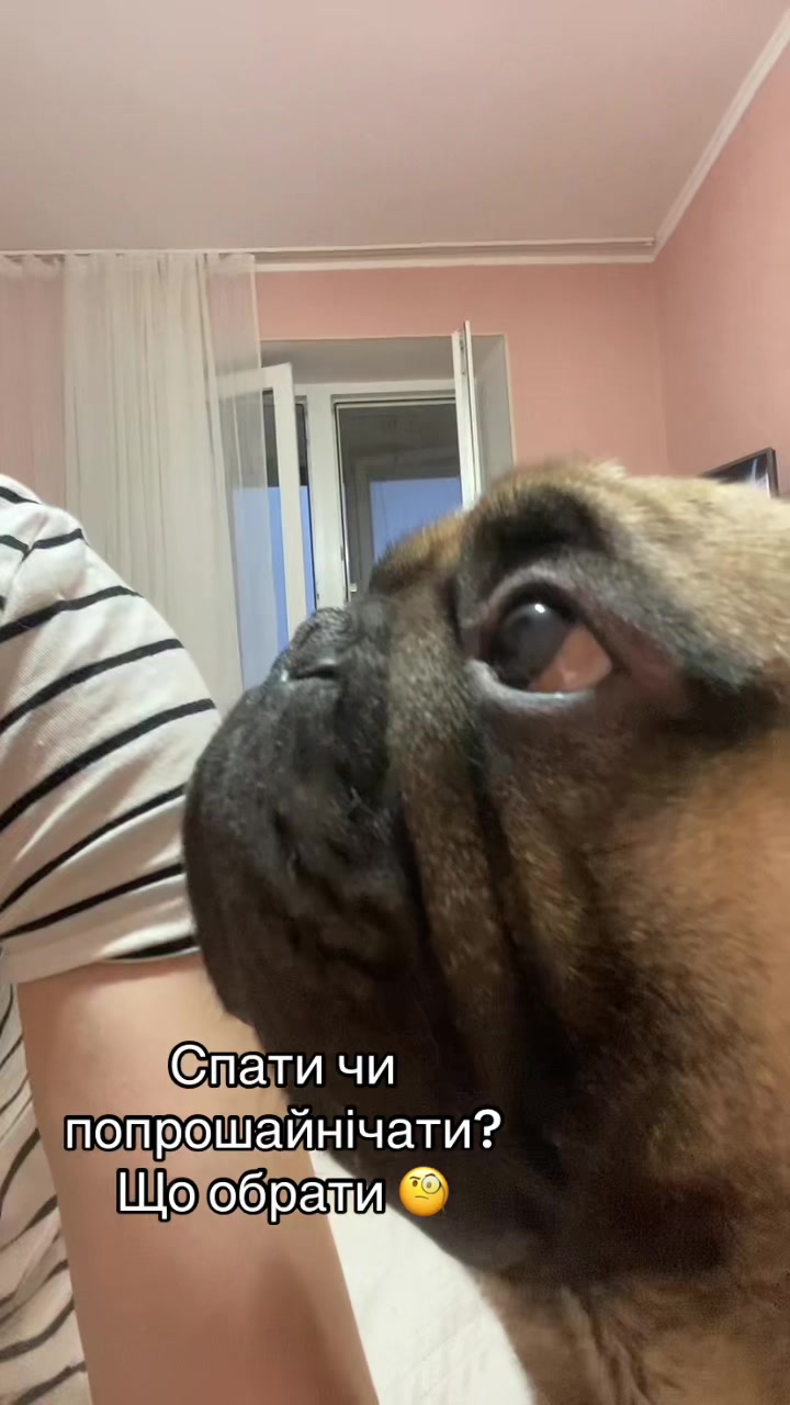 @_holly_bulls_