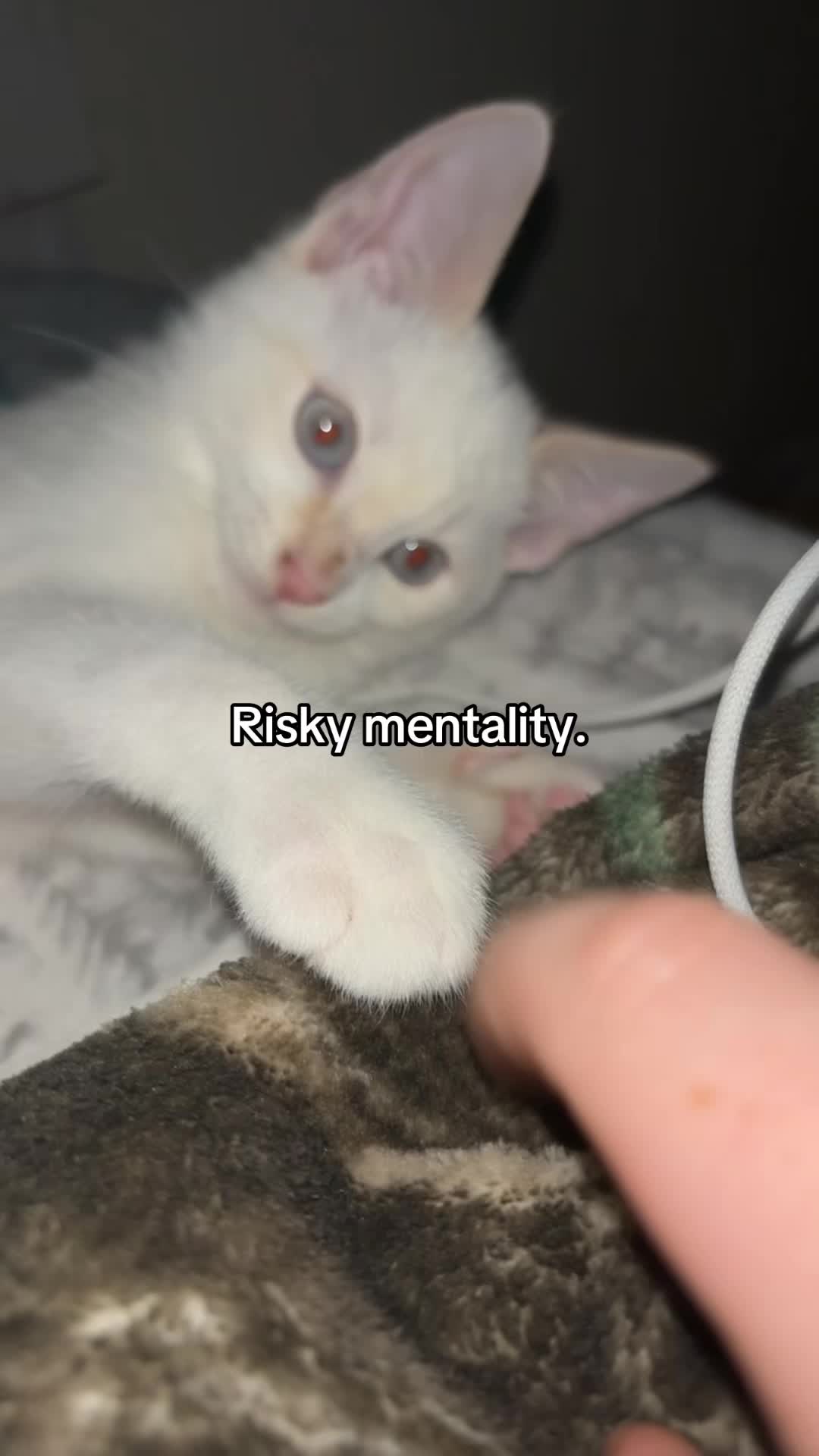 @𖣂𐙚𖣂