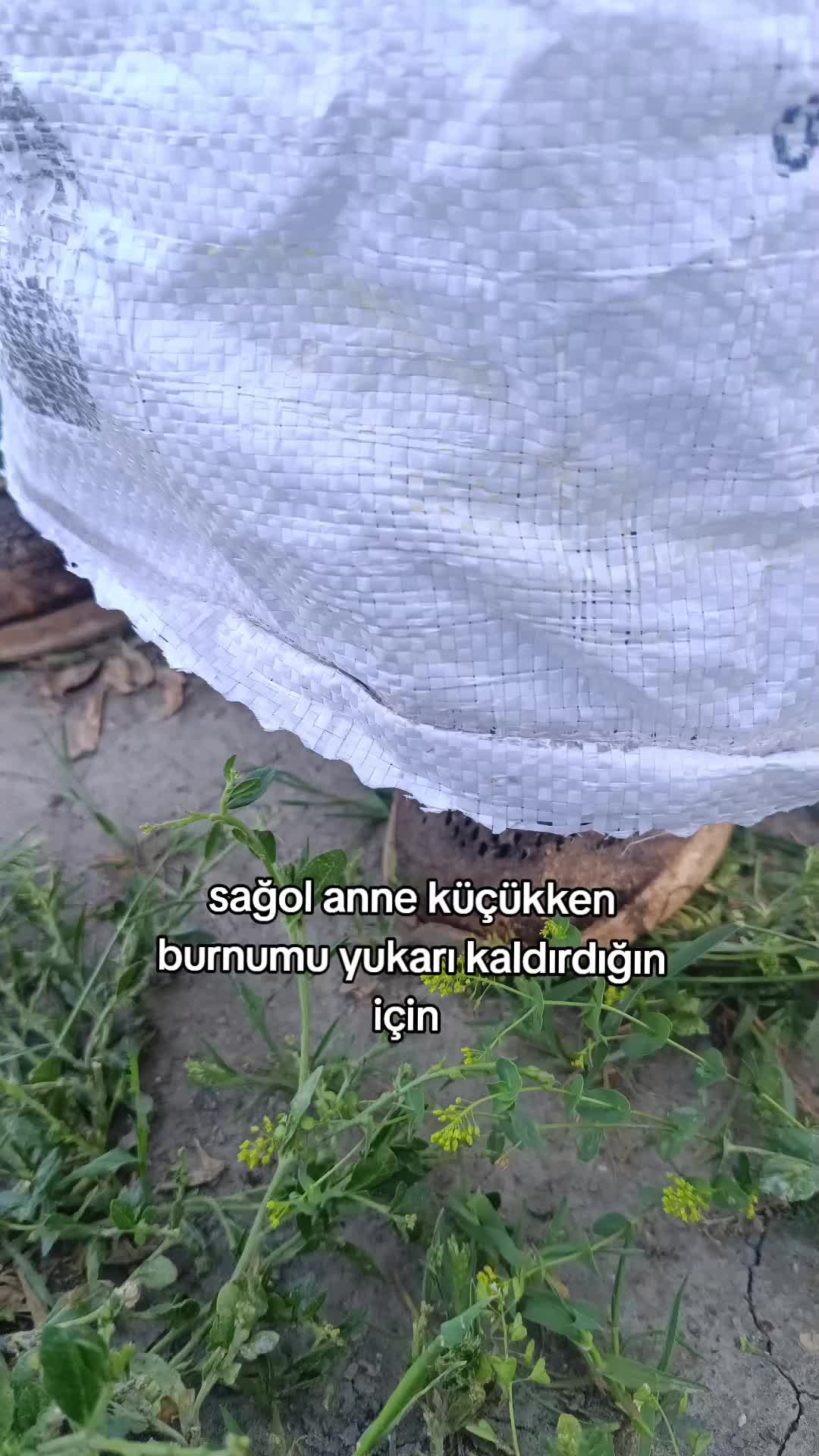 @serkan Dilmaç