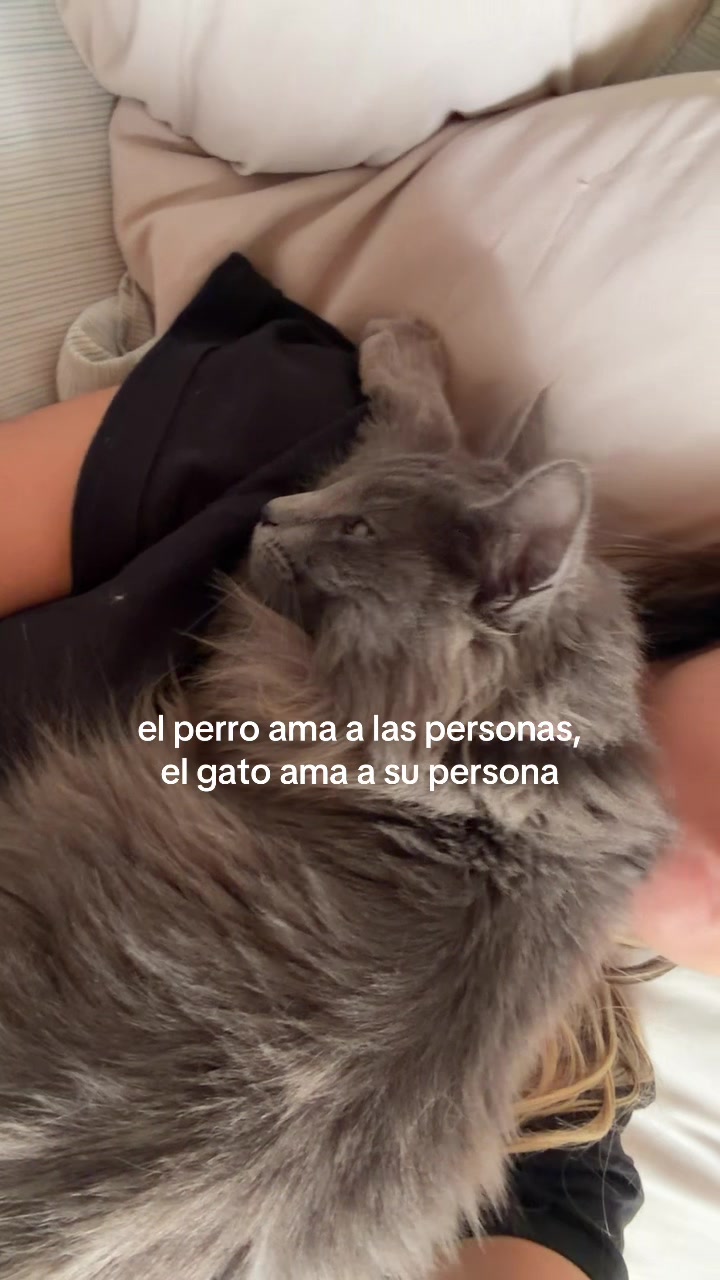 @sofcha💋
