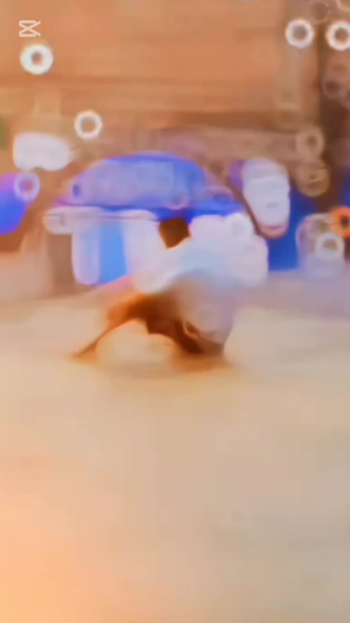 @🎼SHEHzADA ☪️