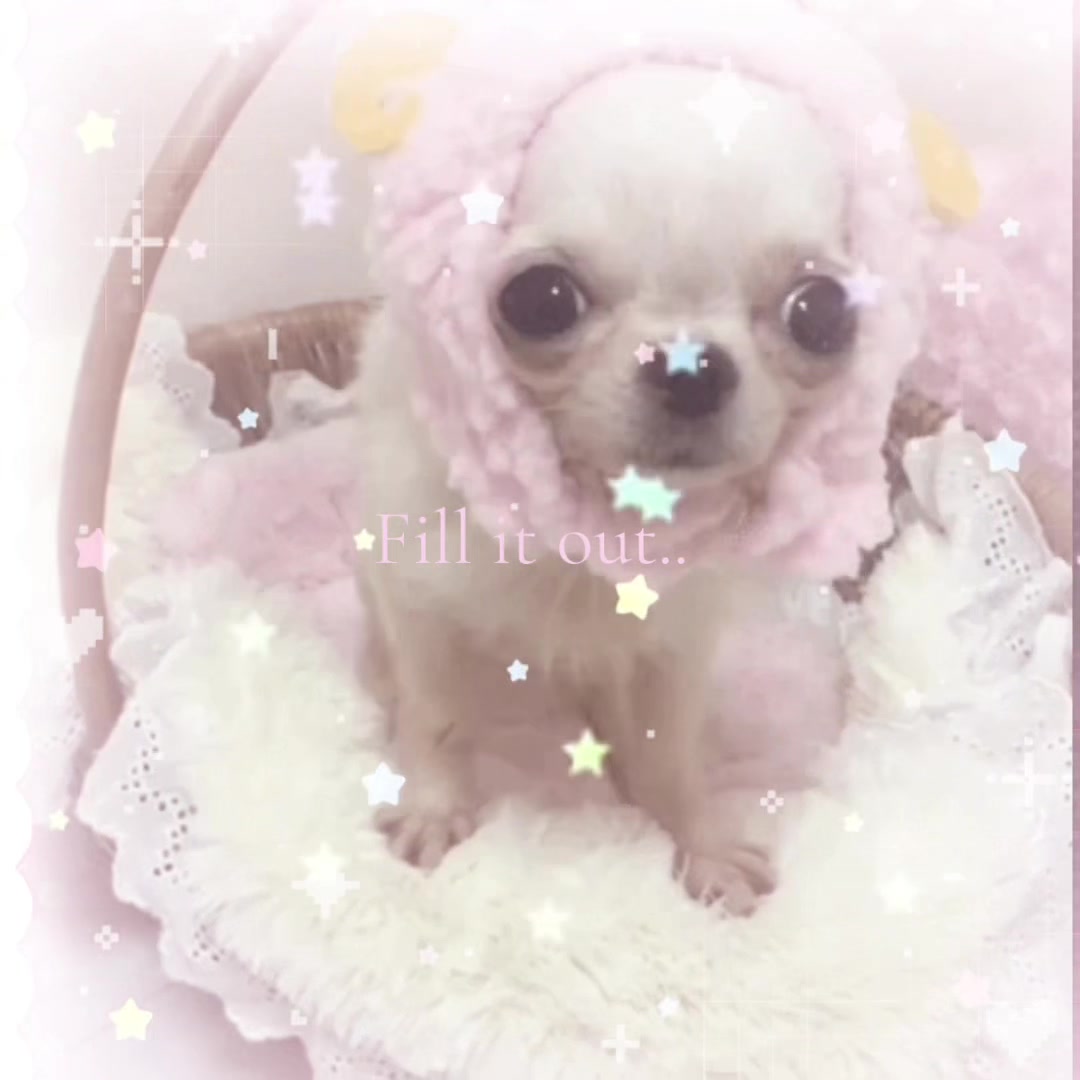 @🧁 ♡ viviana !  ୧