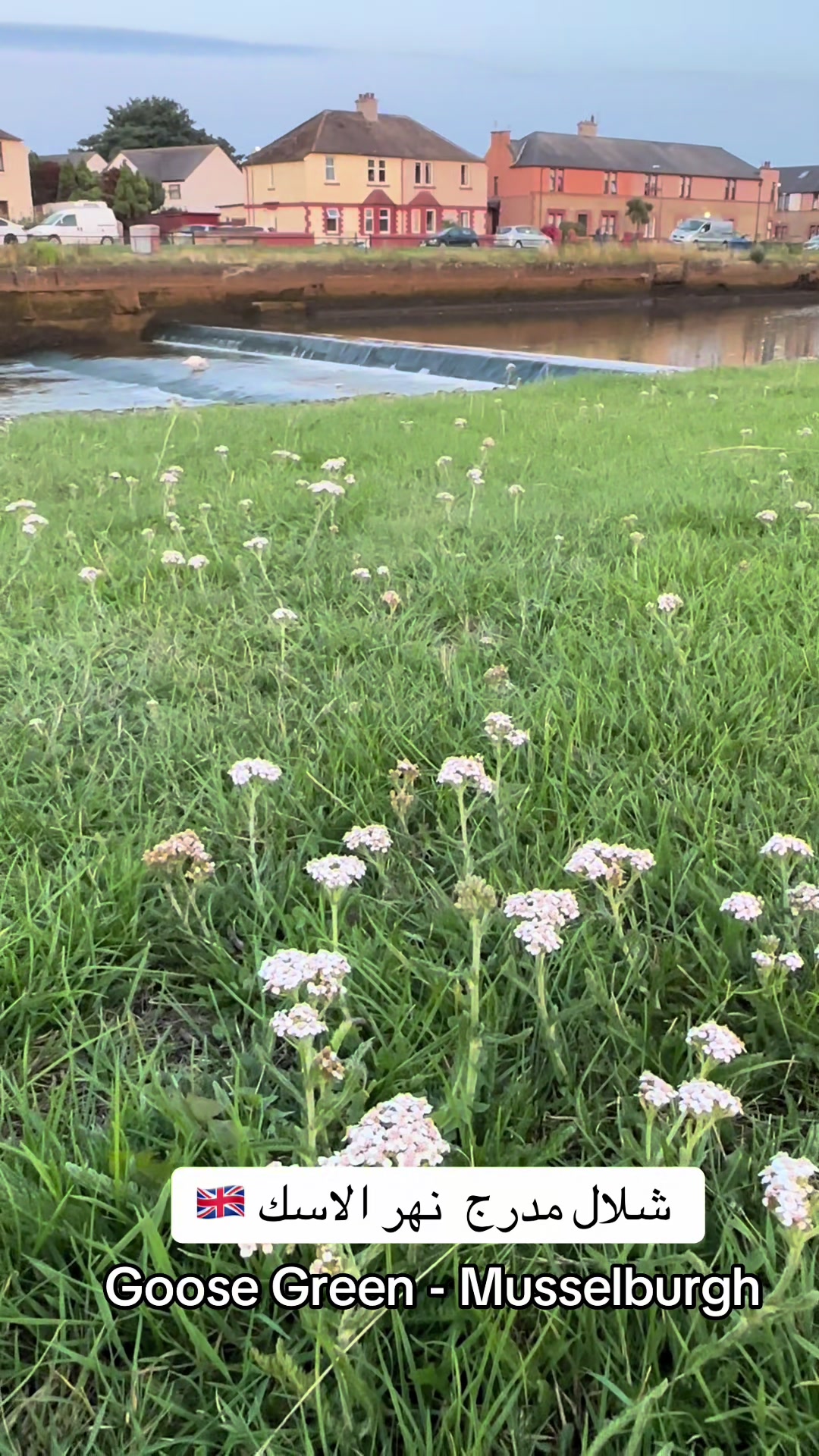 @obidaloni