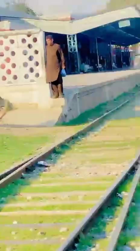@SHAHZADA🦁🤚
