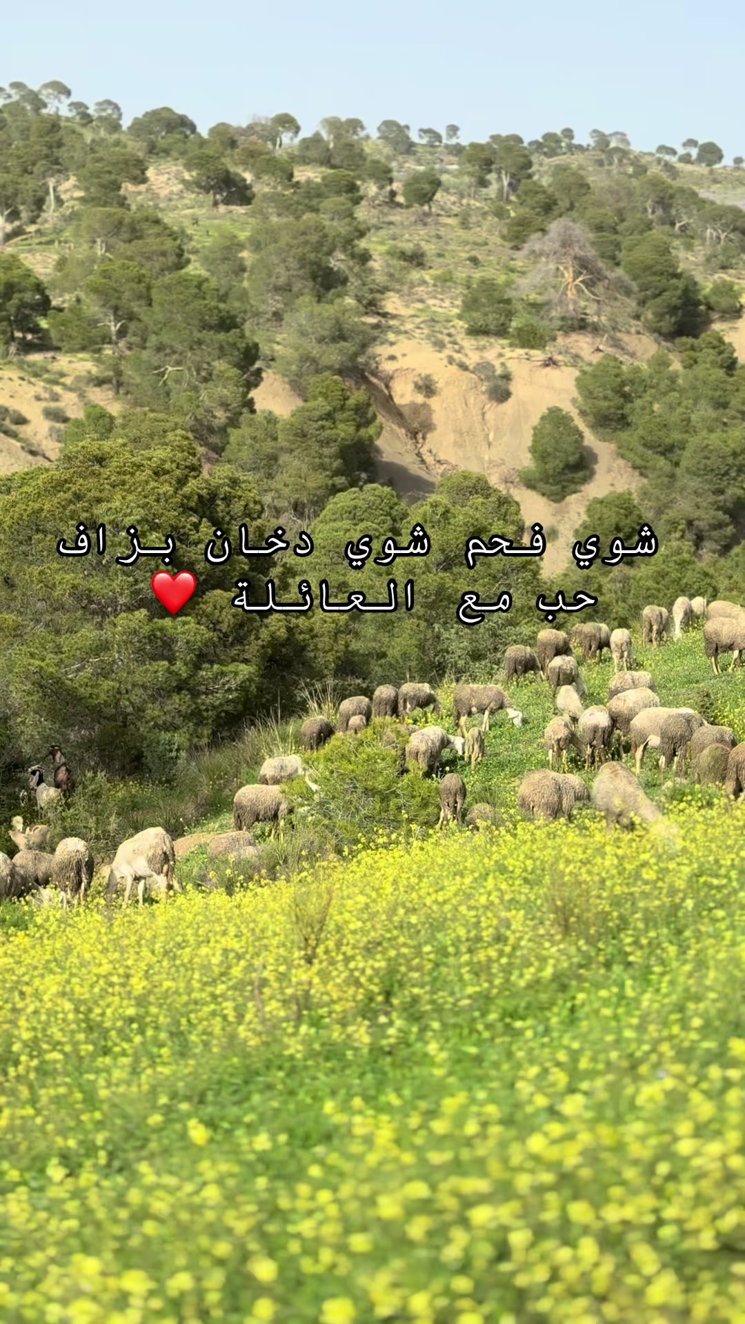 @Dounia_vibes🐆