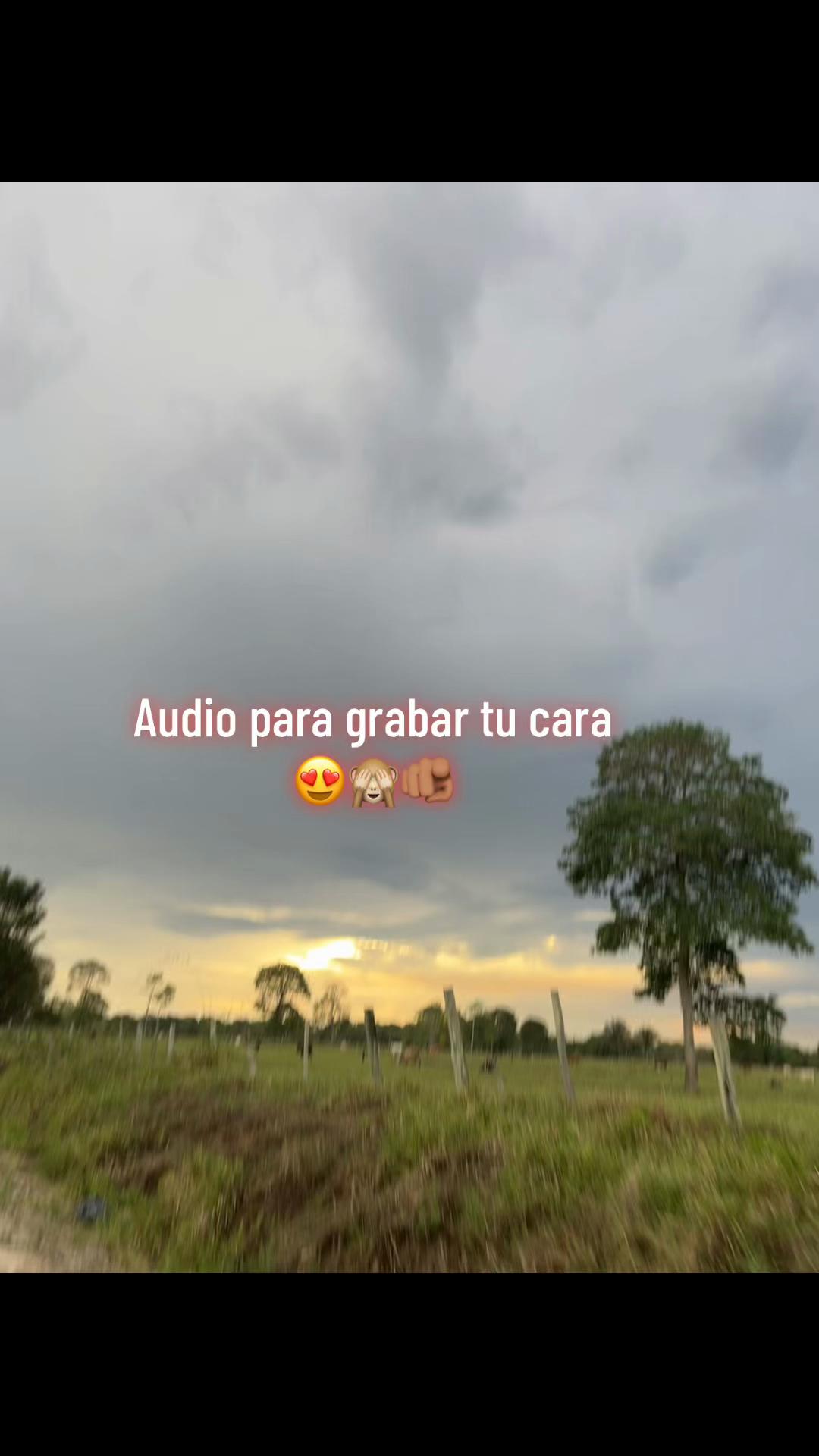 @🎼Spo_rolitas😻