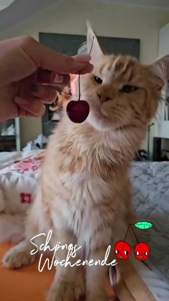 @❤️Janet,Teddy und Blümchen❤️