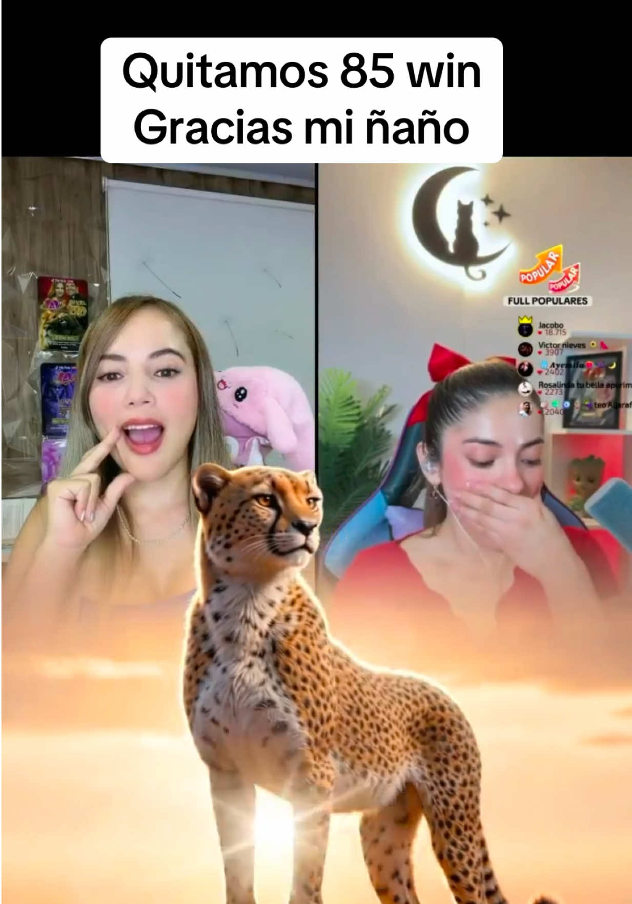 @🧸yoha 👩🧸💀🦁🦍🐕