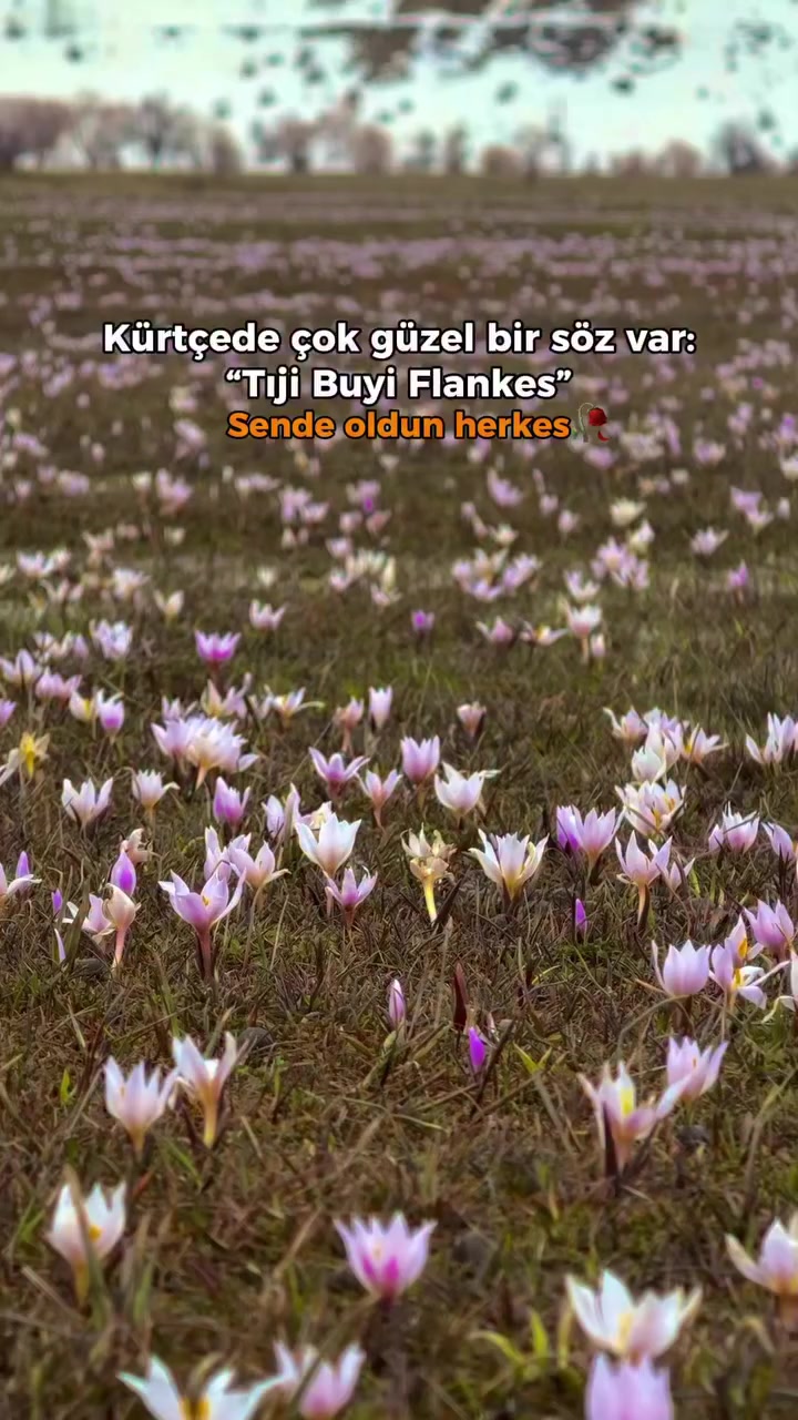 @BERKAY G&Uuml;LER