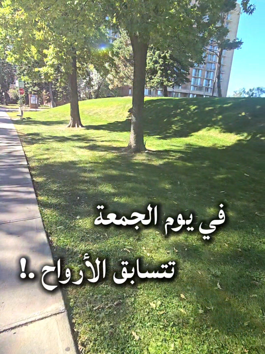 @🦅♟️الكاسح السوري♟️🦅