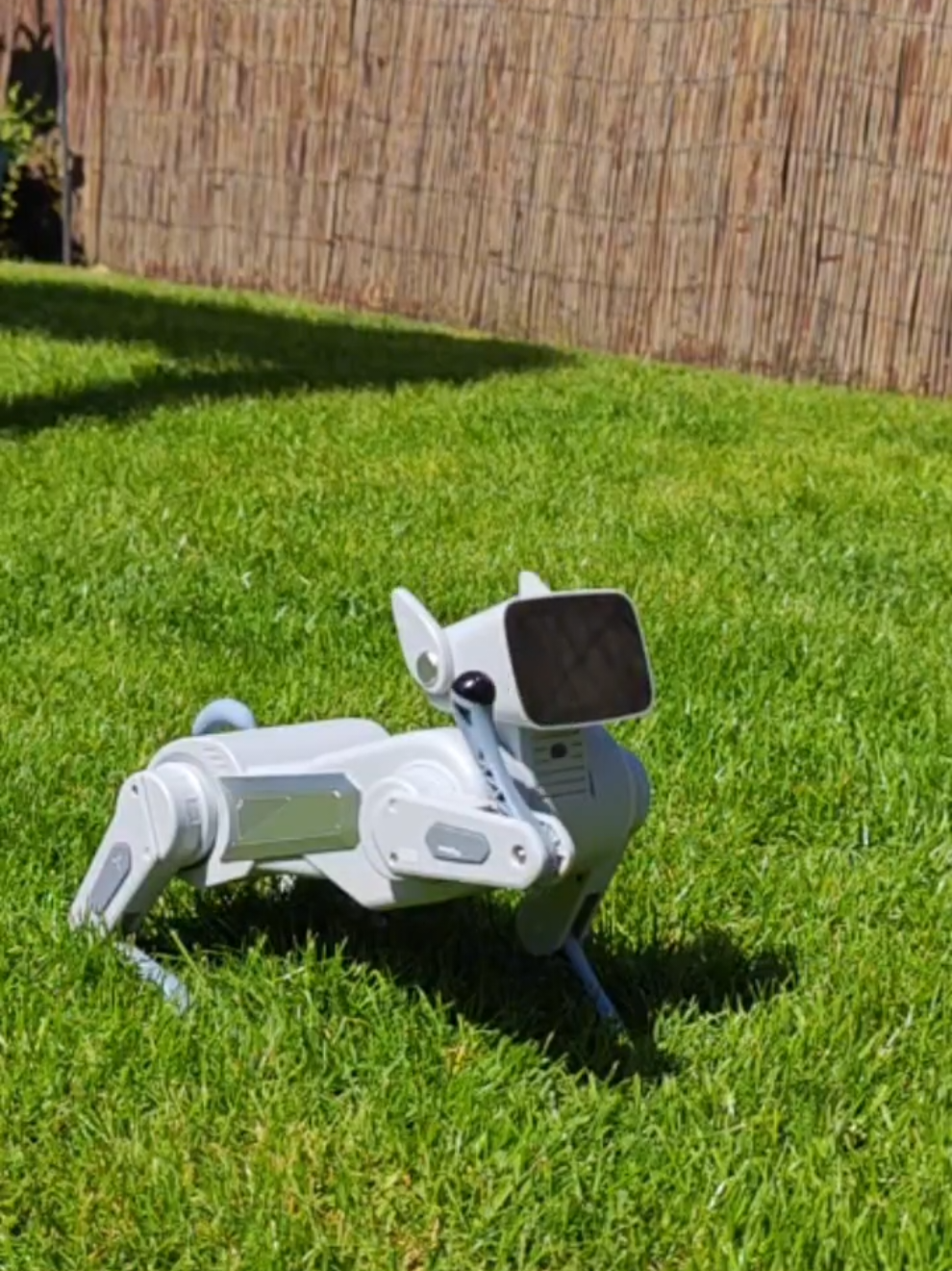@Living with Robots