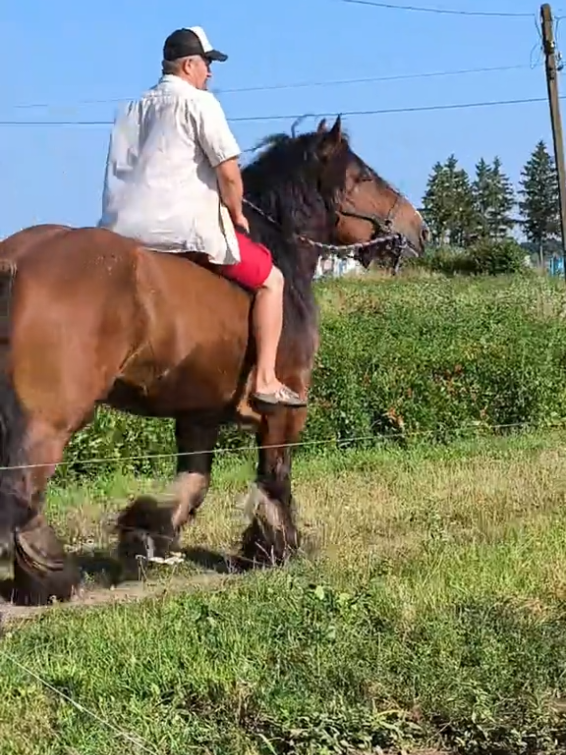 @ВАСЯ БОЙЧУК 🐎