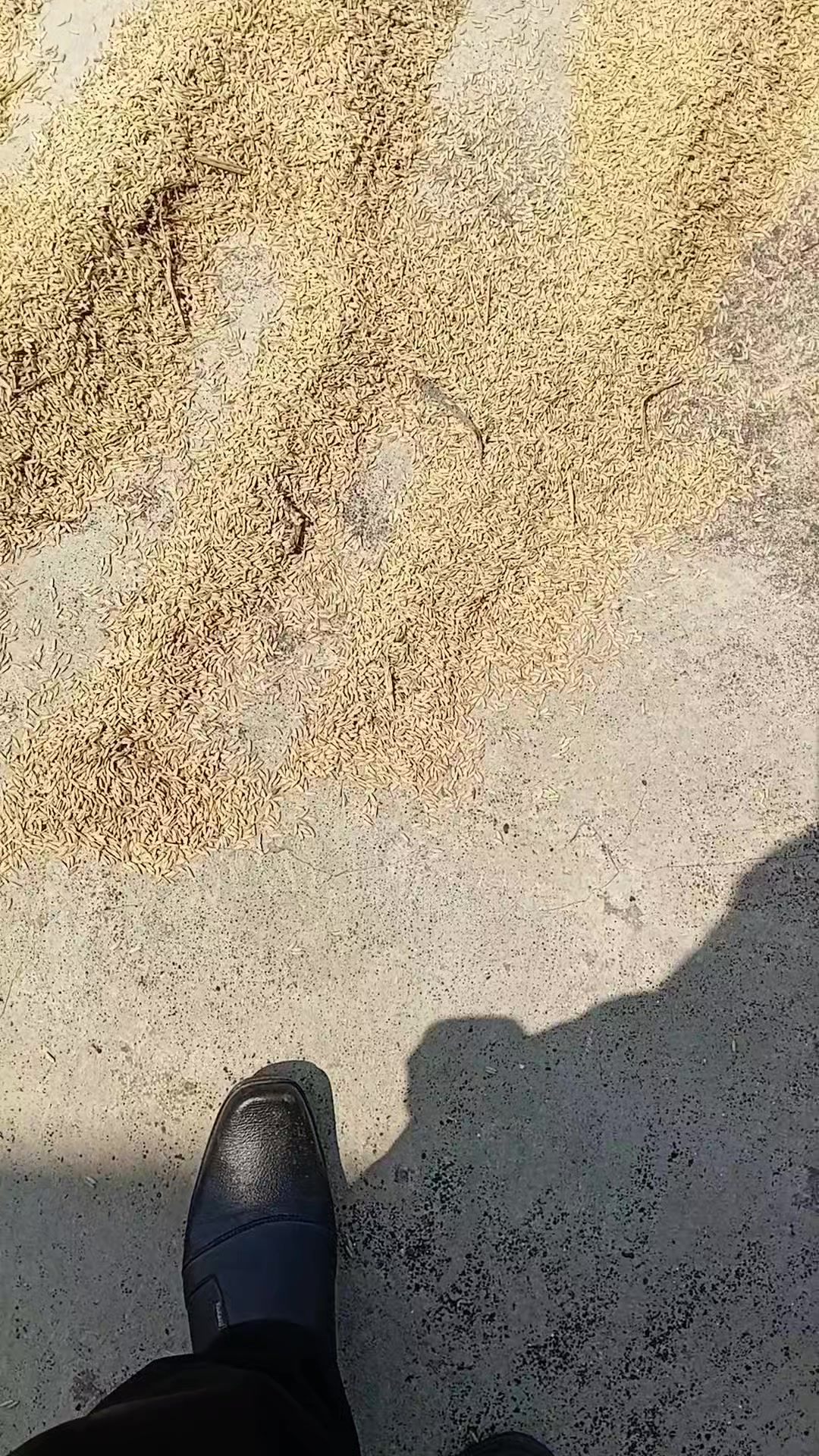 @Legenda Rasamala