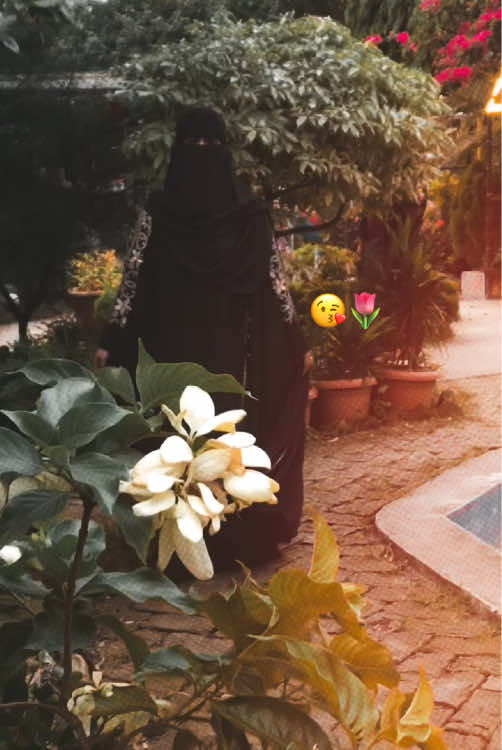 @✨Shanta Islam Ornni☠️