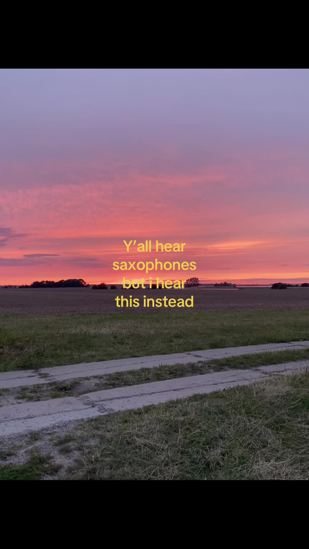 @ℋ ˚˖𓍢ִ໋🦢˚