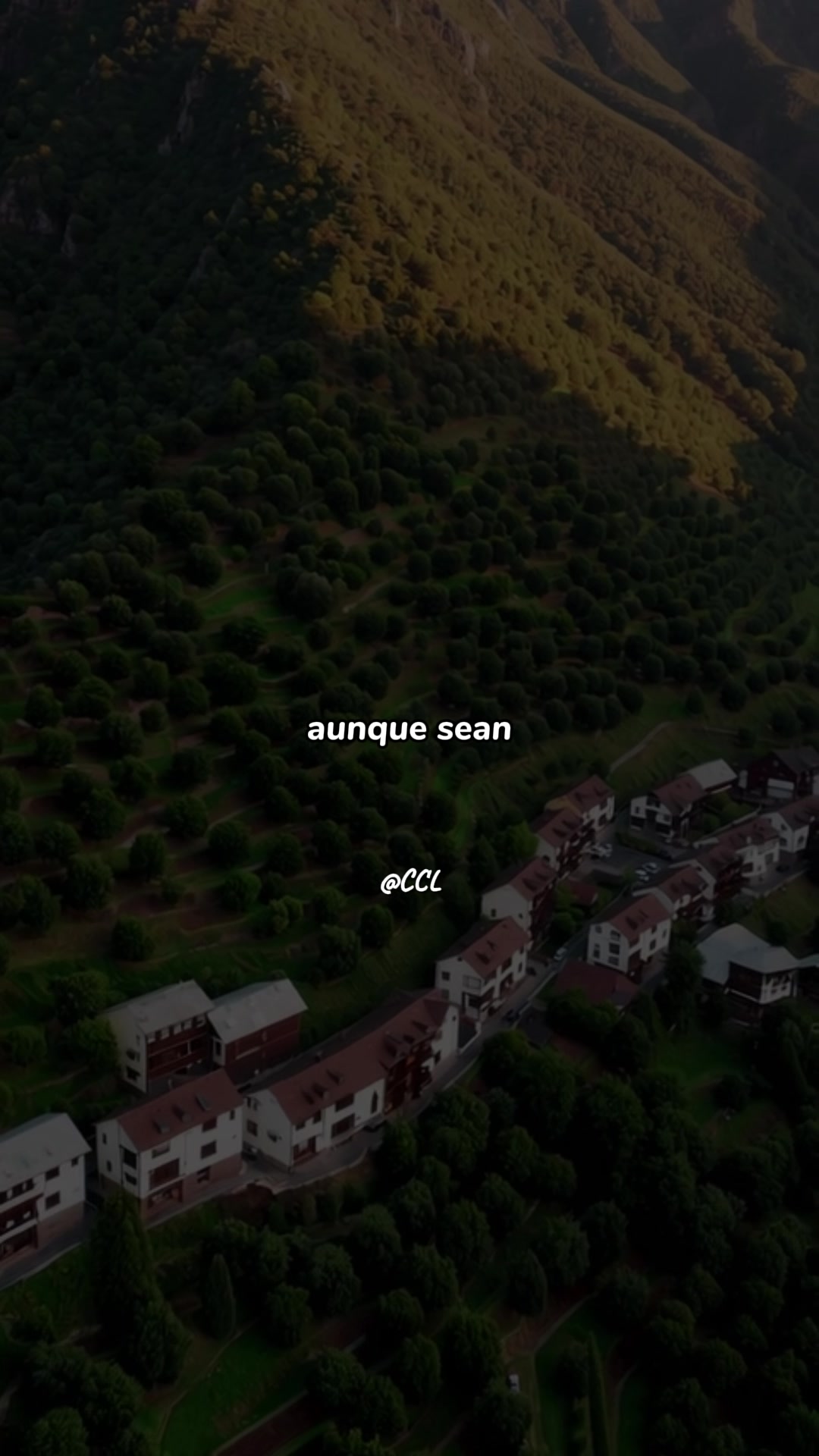@SonicFlow