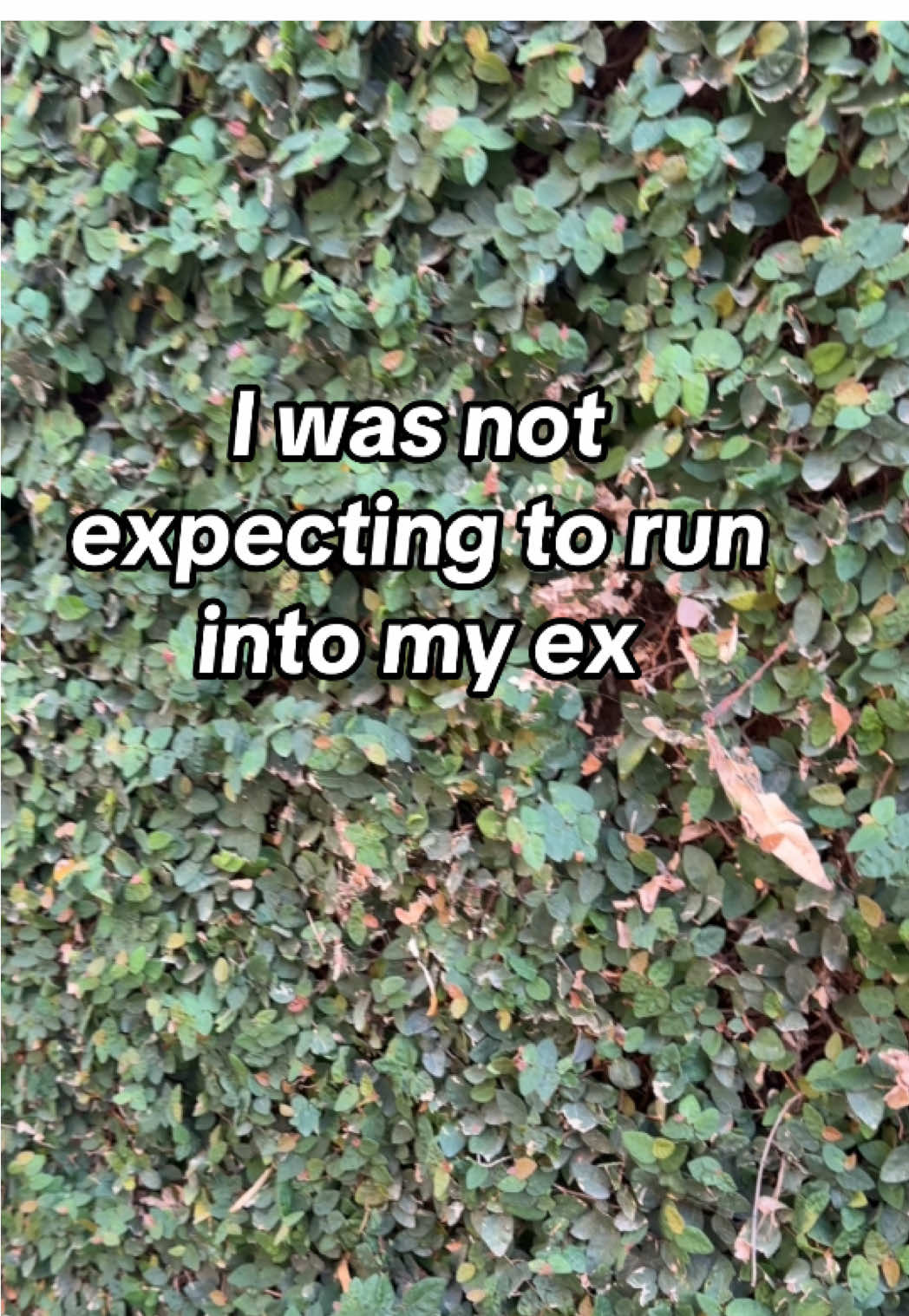@suzannewould