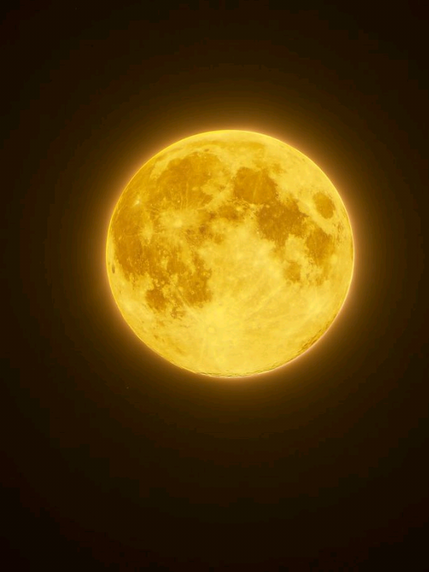 @୭ 𝑐 . 𝑀𝑒𝑔𝑢𝑟𝑢 ✦ ⚡