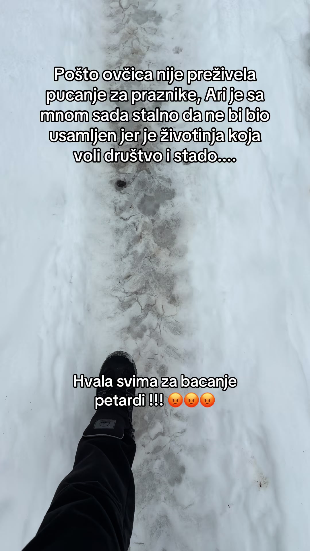 @🐺 Adrijan 🐺