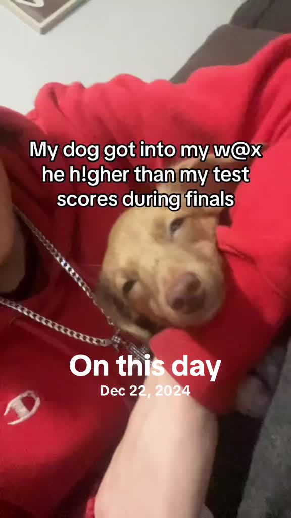 @2ooX