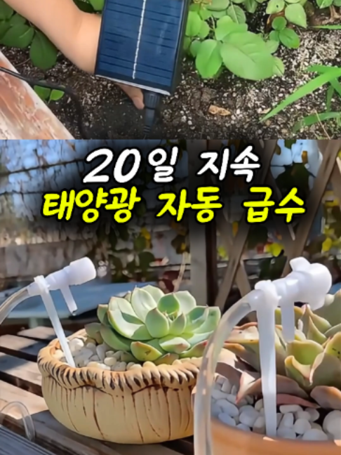 @부러쇼핑