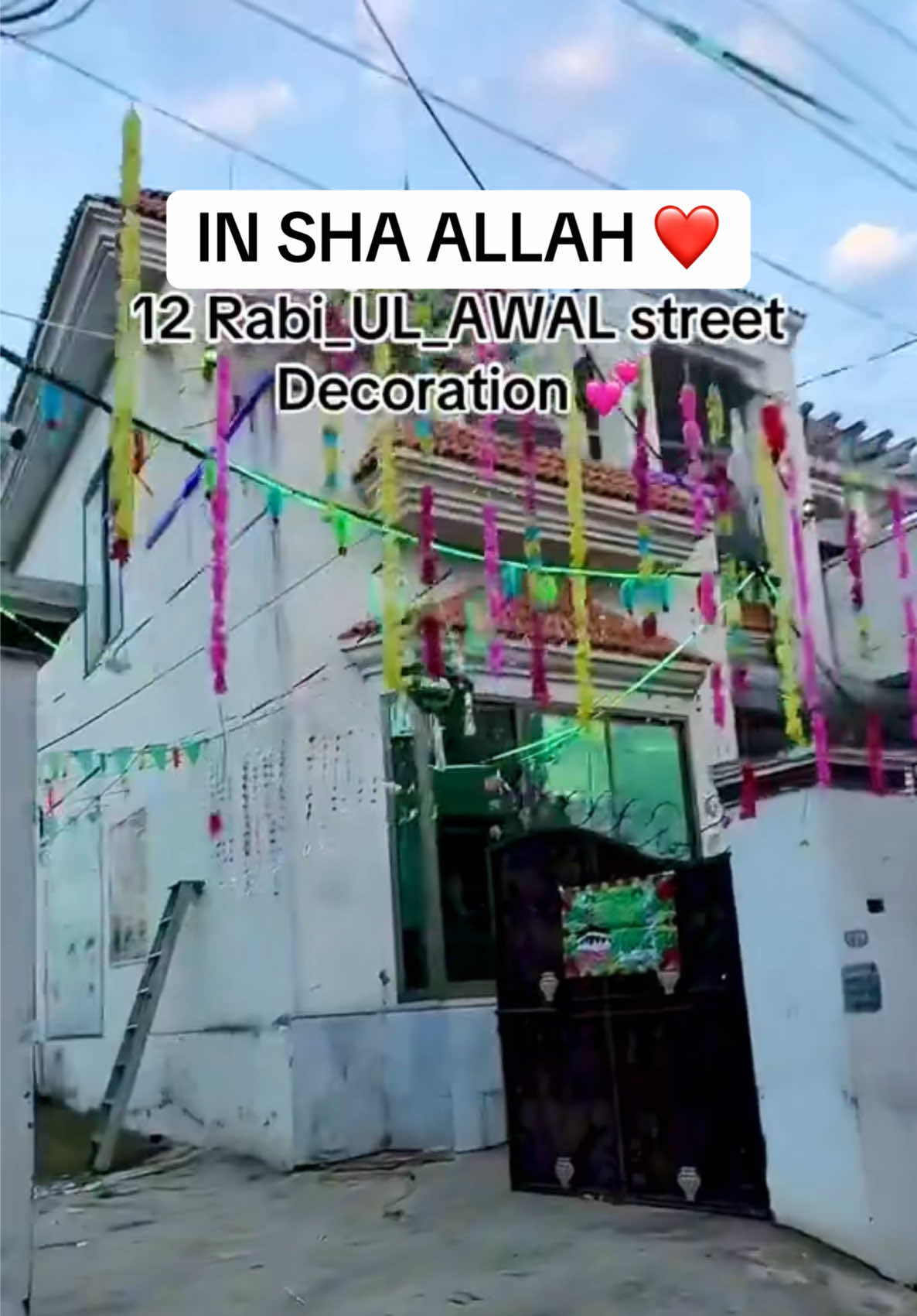@alihamza10005