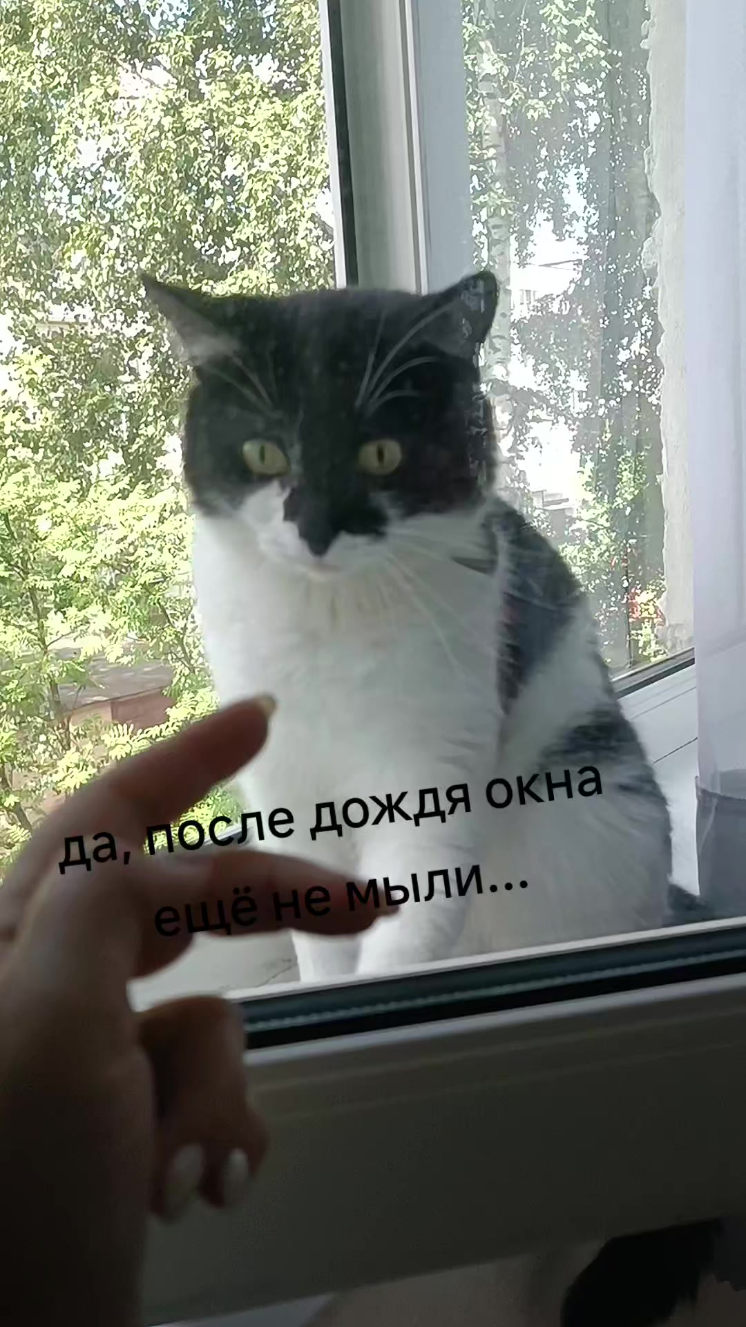 @Лена В