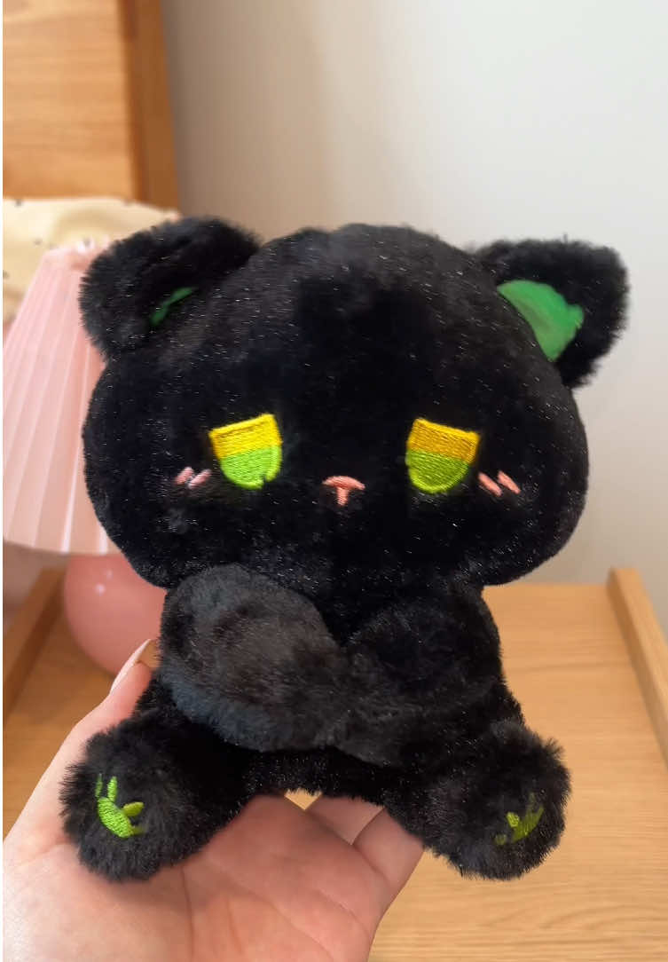 @Fluffycapyfriends