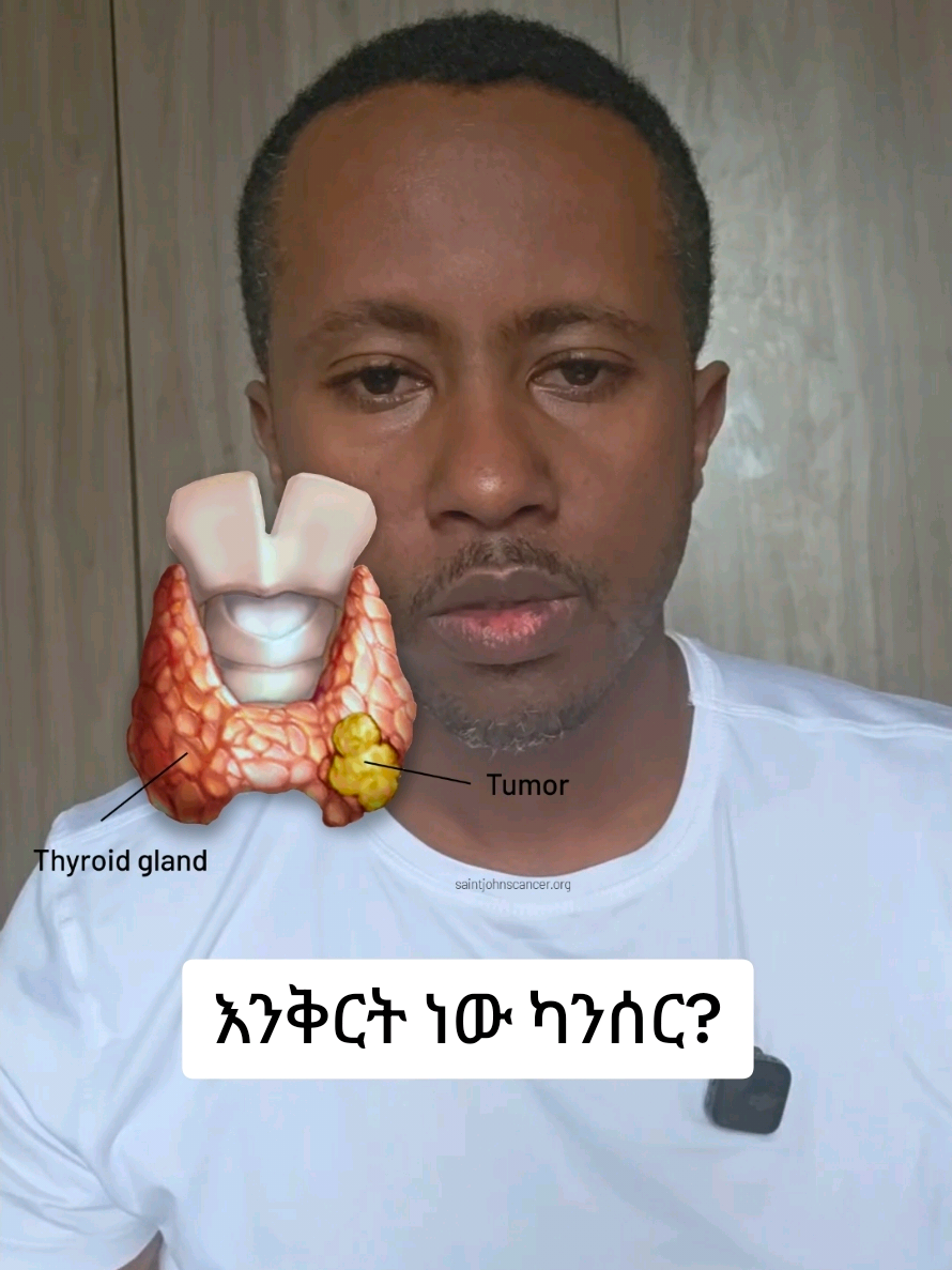 @Dr. Brook Alemayehu